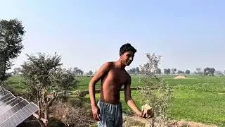 My First Vlog | Swimming in Tubewell Water Pool in Village | Tube Well water Fun by boys