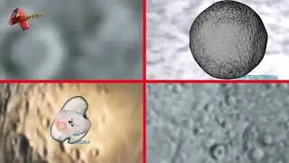 ROCKY AND DWARF PLANETS MOONS SIZE COMPARISON! SPLIT SCREEN VERSION [4K]