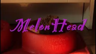 Melon Head - a short film