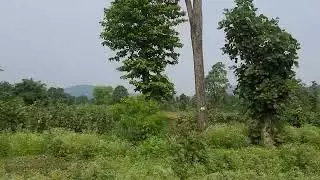 Amarkantak MountainsRange : A meeting point of the Vindhya and the Satpura Ranges
