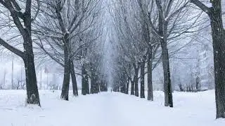 Snow Covered Winter Alley Free Background Videos, No Copyright | All Background Videos
