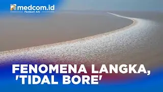 Fenomena Langka, Munculnya 'Tidal Bore' di Sungai Qiantang Tiongkok