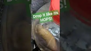 Dry Hop, Oxygen FREE!!