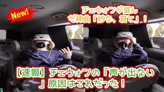 LE SSERAFIMチェウォン、移動中の車内で神回アコースティック熱唱！「妙な、君と」で感極まりまさかの声帯トラブル発生の全貌を徹底解説【Weverse公開映像の衝撃】