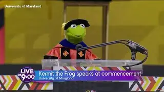The Penny&rsquo;s Exit, A Heroic Lizard, and Kermit&rsquo;s Graduation Advice