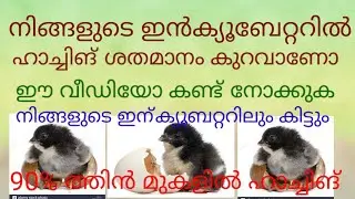 incubeator haching 90% ഇൻക്യൂബേറ്ററിൽ വിരിയൽ ശതമാനം കുട്ടാൻ