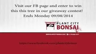 PCB giveaway contest in progress!