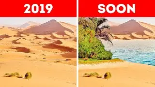 What If There Was a Flood in the Sahara Desert?