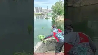 The Grass Nest Technique: How to Catch Grass Carp