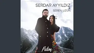 Pulim