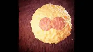 Fertilization in the Female Reproductive System | How Life Begins Explained Simply