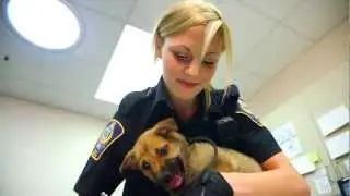 Animal Health