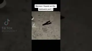 Memes i found in the darkweb part 1