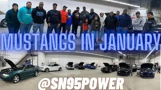 @SN95POWER brought all mustangs together in JANUARY