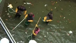Partie de pêche dans le canal Saint-Martin, vidé de ses eaux