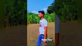 #My content @Video    আমি সেই 🐦 পাখি