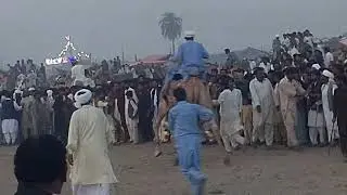Camel Dance Mela   dance#cameldance #villagelife #MelaAnyat