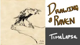 Drawing a Raven From Reference!