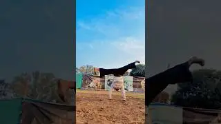 Mix hard 🥷#army #maa #india #commando #jaihind #bharat #trend #virel #reel #likes #kicks #tkd #army