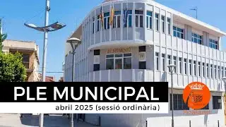 Ple municipal Picassent (abril 2025)