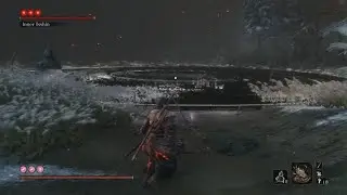 Quick sekiro run thru