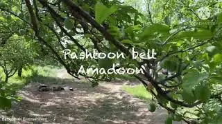 Amadoon | Ziarat