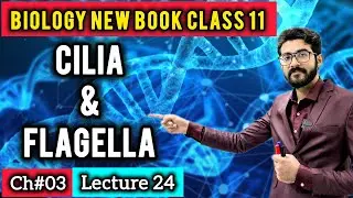 Cilia & Flagella Class 11 | Structure and Function | New Book 2025