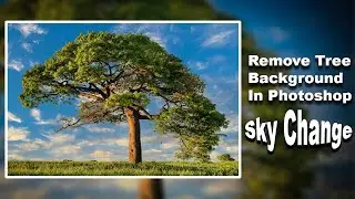 Remove Tree Background In Photoshop || Background Remove || Sky Change || photoshop cc 2021