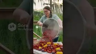 life  as a cajun woman