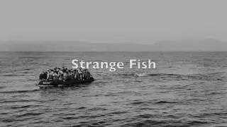 Julian Moreen - Strange Fish (Live)