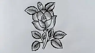 Rose Flower Drawing | How To Draw A Rose | How to draw rose flower drawing