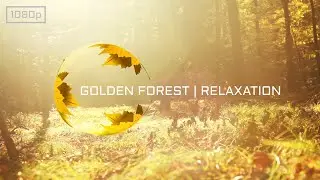 Ultimate Relaxation | THE GOLDEN FOREST | 5 Hours for Sleep, Study, Relax, Reduce Stress, Meditation