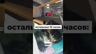БРО ГО В ПОЛИВАР? 😎 #polywar #shorts