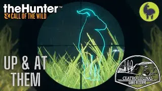 Up & At Them, Cuatro Colinas | theHunter: Call of the Wild (PS5 4K)