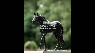 Horse Edit #50 #shergar #totilas #snowman #seabiscuit #racehorses #edit #famoushorses