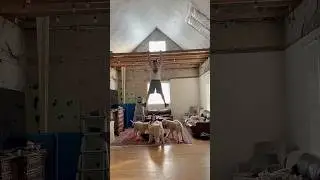 Renovating old houses is never simple
