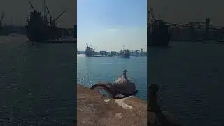 2 El fuerte de San Juan Ul&uacute;a en Veracruz #veracruz #mexico #sanjuandeulua #shorts