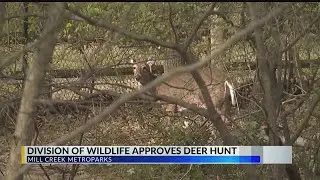 Division of Wildlife approves Mill Creek MetroParks' request to kill more deer