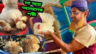 পরী ফুটিয়েছে ডি'ম থেকে বা'চ্চা💙