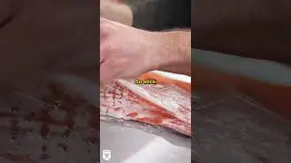 How to properly remove PPF