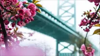 Summer Never Ends 312 Progressive House Mix The Serene travels Edition