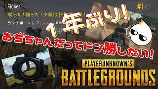 【PUBG＆PUBGLITE】(少しだけ？）初心者状態なおぢちゃんとプブグとTheつ談と（概要欄必読