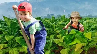 Tobacco Companies Are More Evil Than You Ever Thought