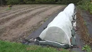 Gardening with ground cover tarps for better weed control
