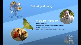 Magnificent Moths - Manage your landscape to encourage moth diversity