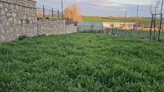 Kesinlikle İzlemelisiniz. Toprak Hazırlığına Son Noktayı Koyduk. Peki Neler Yaptık? 