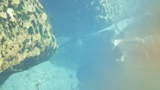 Diving the caves at wekiva springs.