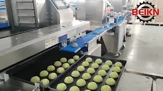 Automatic aligning machine Panning machine Alignment machine arranging machine for biscuits cookies