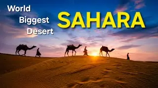 World Biggest Desert -Sahara Desert #saharadesert #desertlife #saharawildlife #sahara #saharahistory