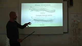 1G - vzdu&scaron;nicovci